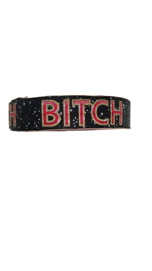 Bitch Nylon Dog Collar