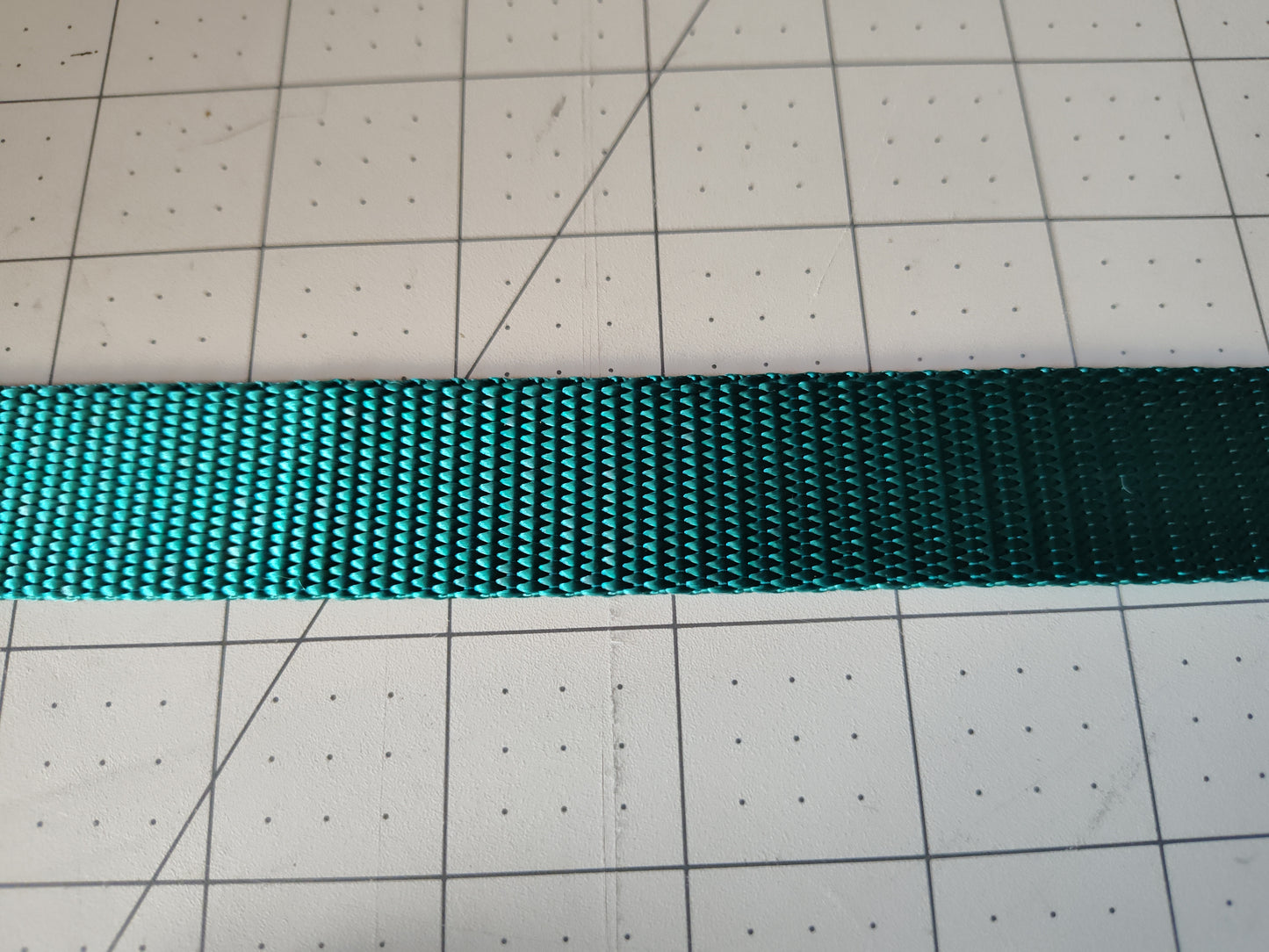 Doot's Basics Nylon Dog Collar/ Leash