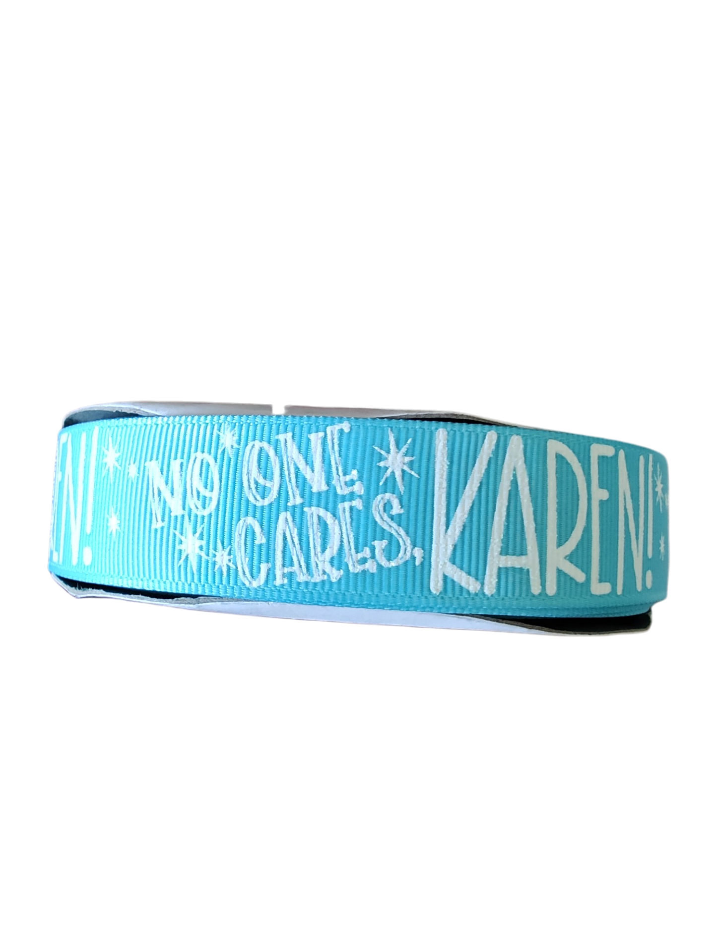 No One Cares Karen Nylon Dog Collar