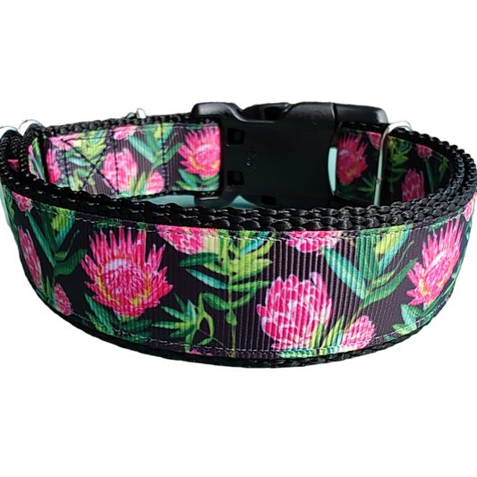 Protea Flower Nylon Dog Collar - Doot's Pet LLC Collars For A Cause