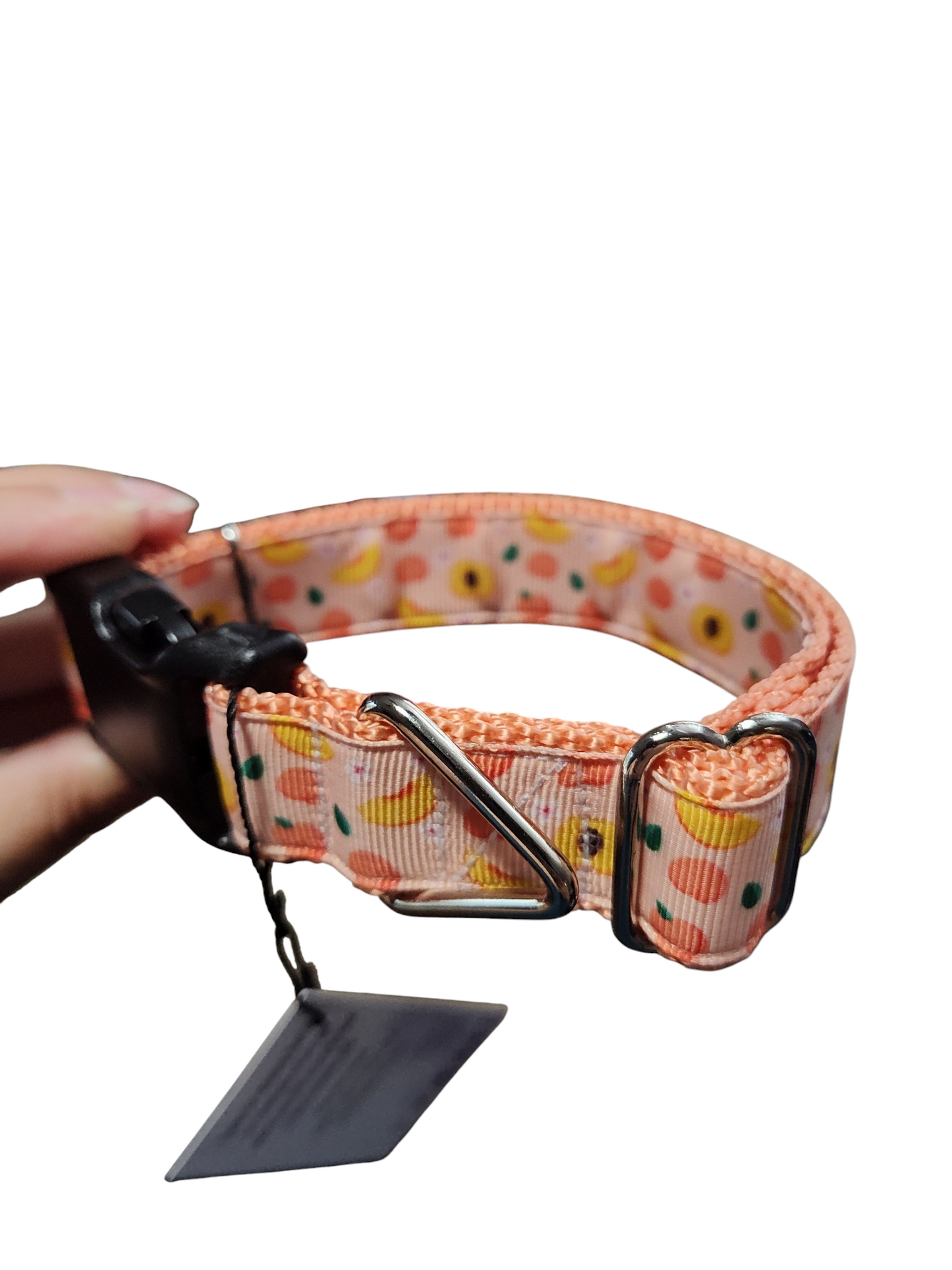 Ripe Peach Nylon Dog Collar