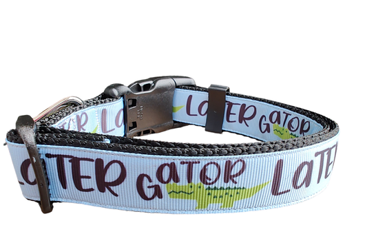 Later Gator Black Nylon Dog Collar MD, LG, XL, Leash - Doot's Pet LLC Collars For A Cause