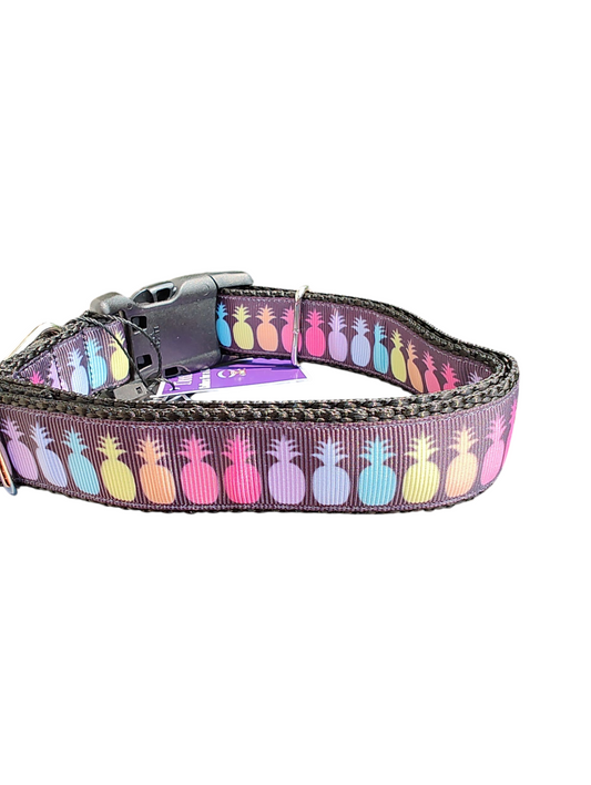 Rainbow Pineapples Nylon Dog Collar