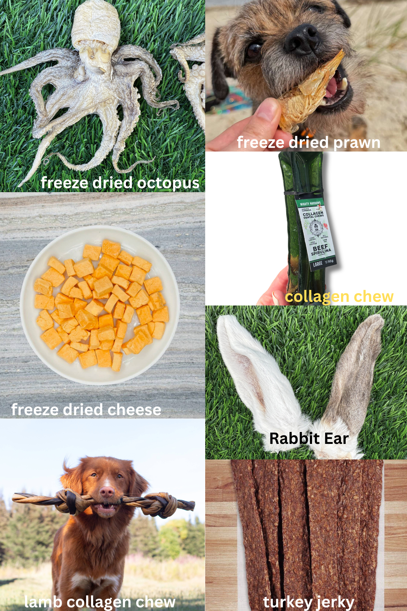 Doot's Mystery Treat Bundles Chew Bar, Bulk Bin, Or A Mix - Doot's Pet LLC Collars For A Cause