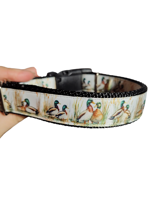 Mallard Duck Pair Nylon Dog Collar