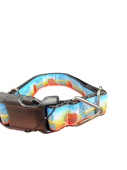 Beach Please Nylon Dog Collar