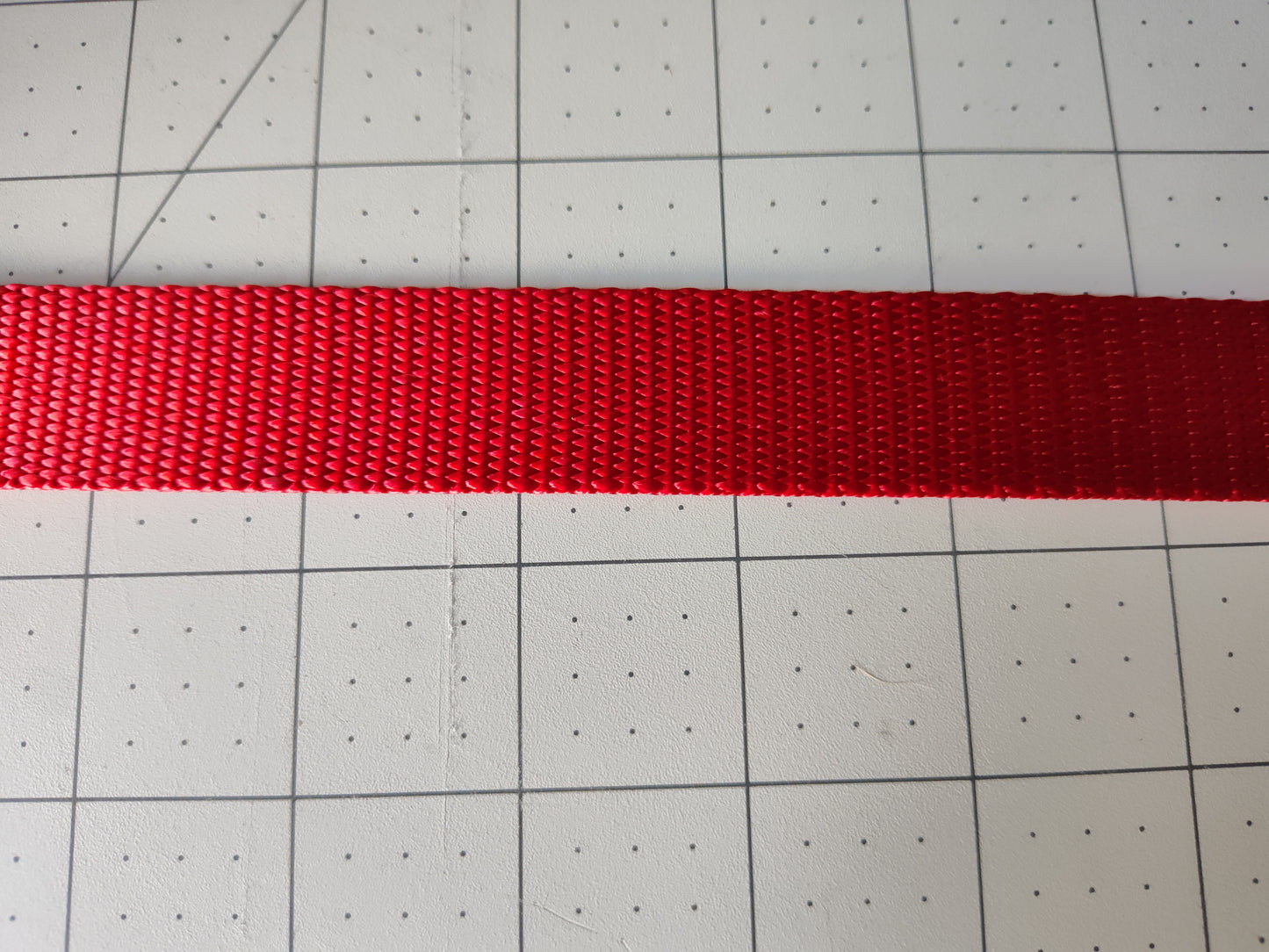 Doot's Basics Nylon Dog Collar/ Leash