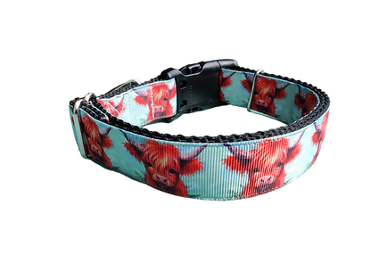 Highland Cows Nylon Dog Collar - Doot's Pet LLC Collars For A Cause