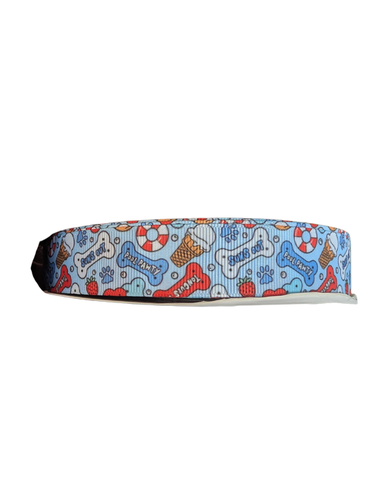 Pool Pawty Nylon Dog Collar