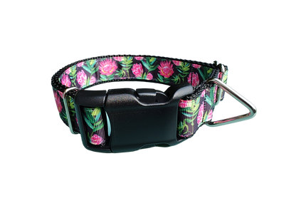 Protea Flower Nylon Dog Collar - Doot's Pet LLC Collars For A Cause