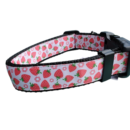 Strawberry Flowers Black Nylon Dog Collar MD, LG, XL, Leash - Doot's Pet LLC Collars For A Cause