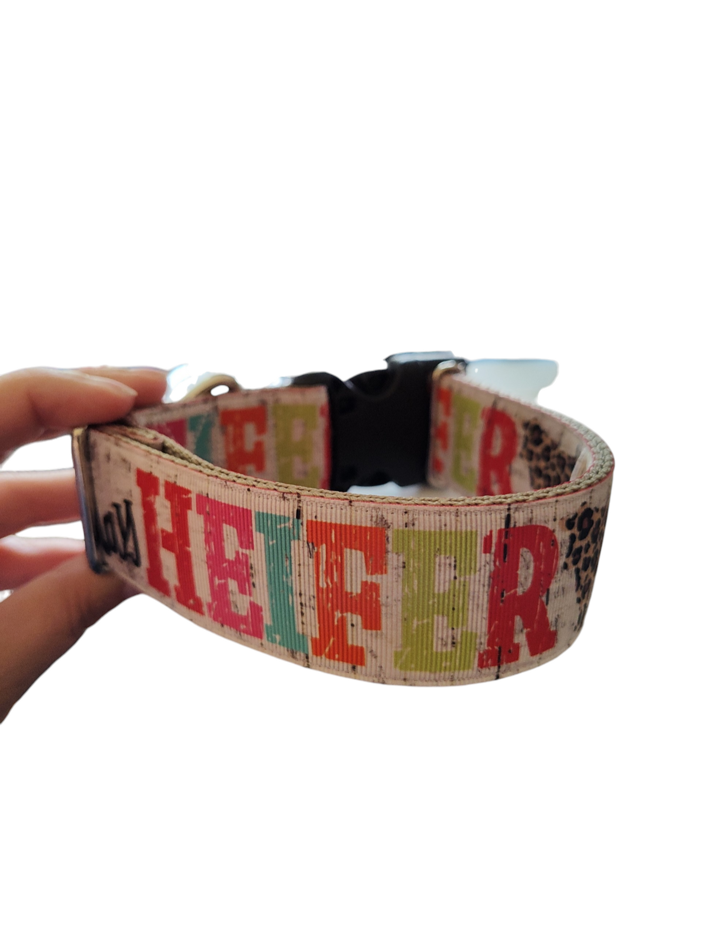 1.5" Wide Not Today Heifer Nylon Dog Collar