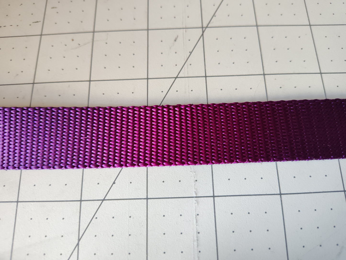 Doot's Basics Nylon Dog Collar/ Leash