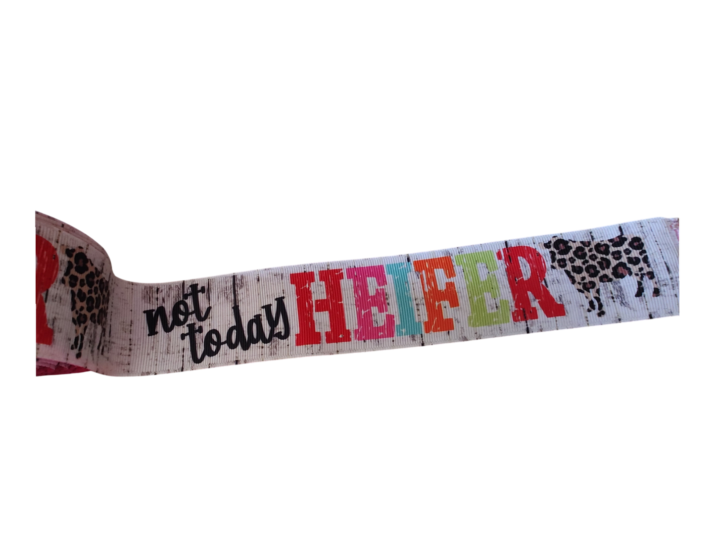 1.5" Wide Not Today Heifer Nylon Dog Collar