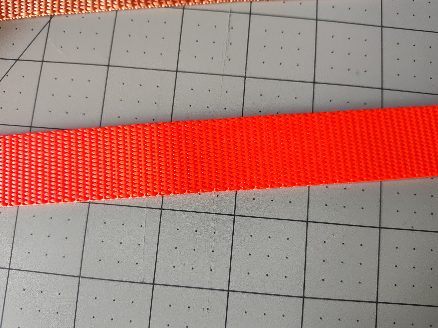 Doot's Basics Nylon Dog Collar/ Leash