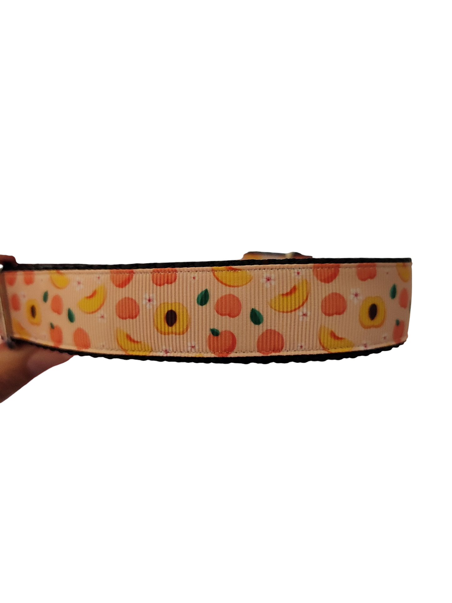 Ripe Peach Nylon Dog Collar