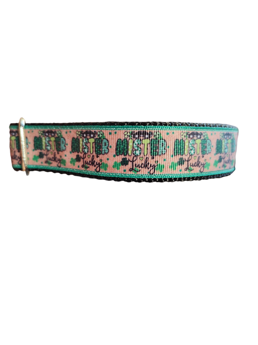 Mister Lucky Nylon Dog Collar