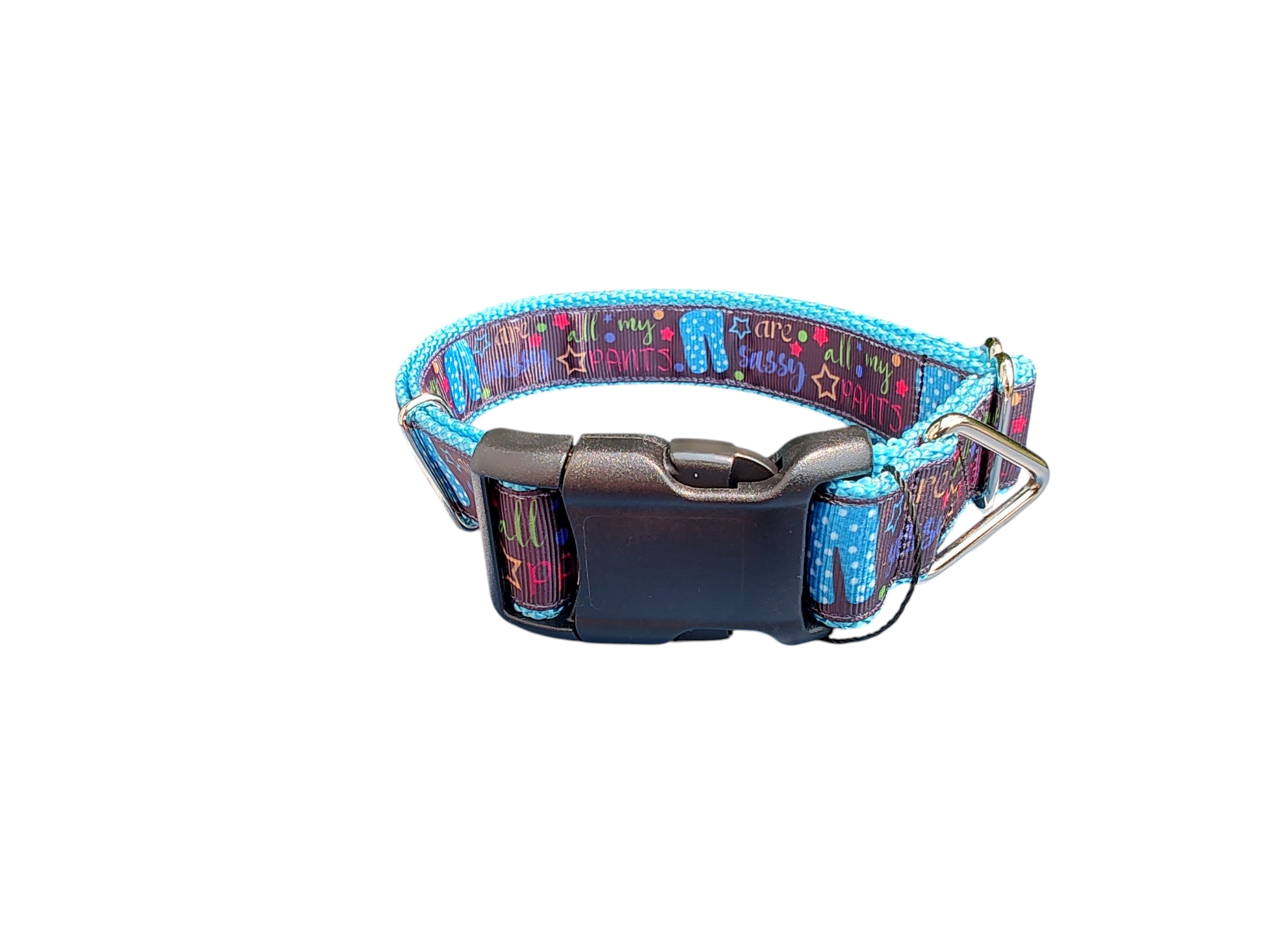 Sassy Pants Nylon Dog Collar - Doot's Pet LLC Collars For A Cause