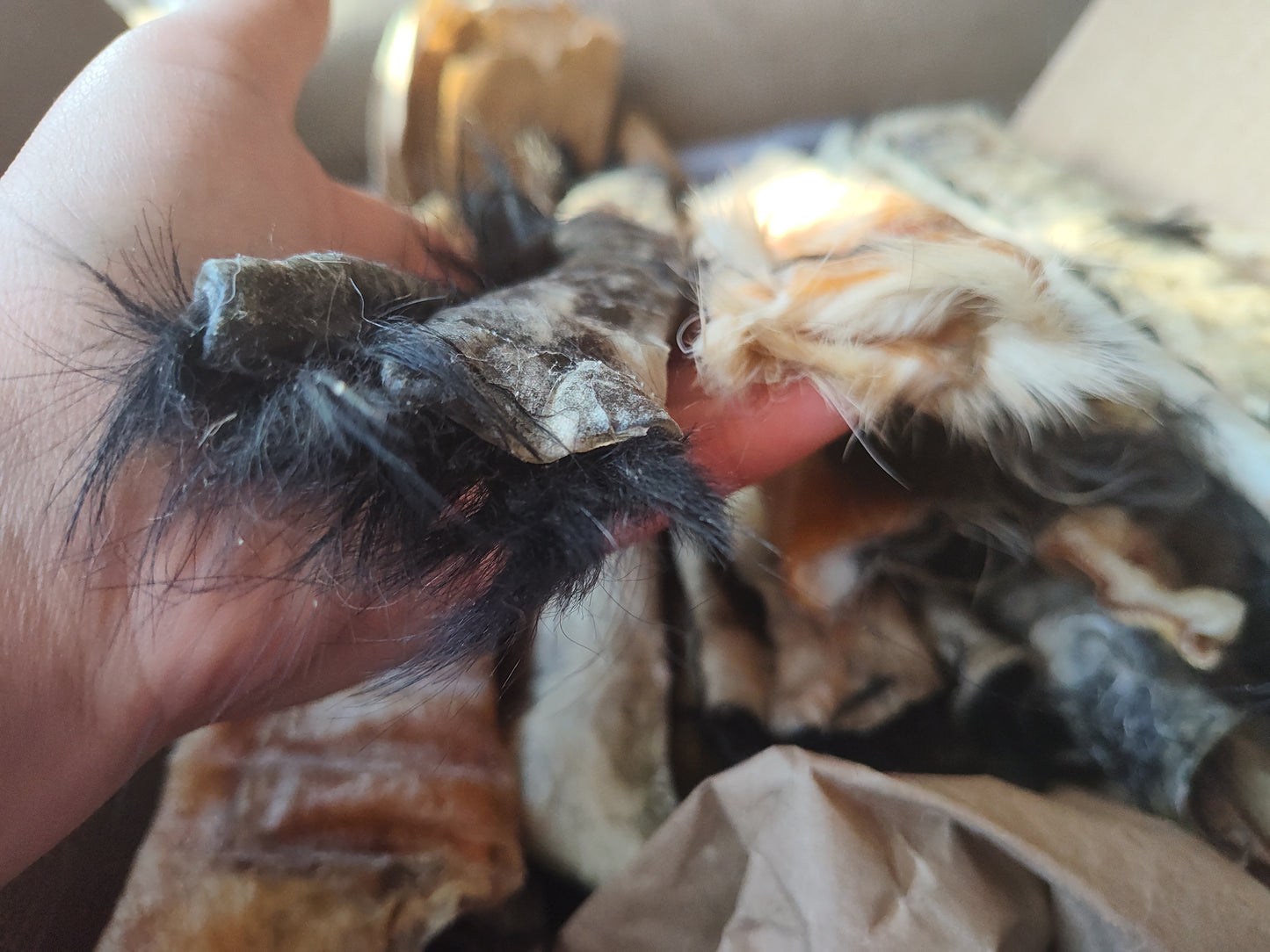 Doot's Chew Bar - Hair on Cowhide Ugly Chews