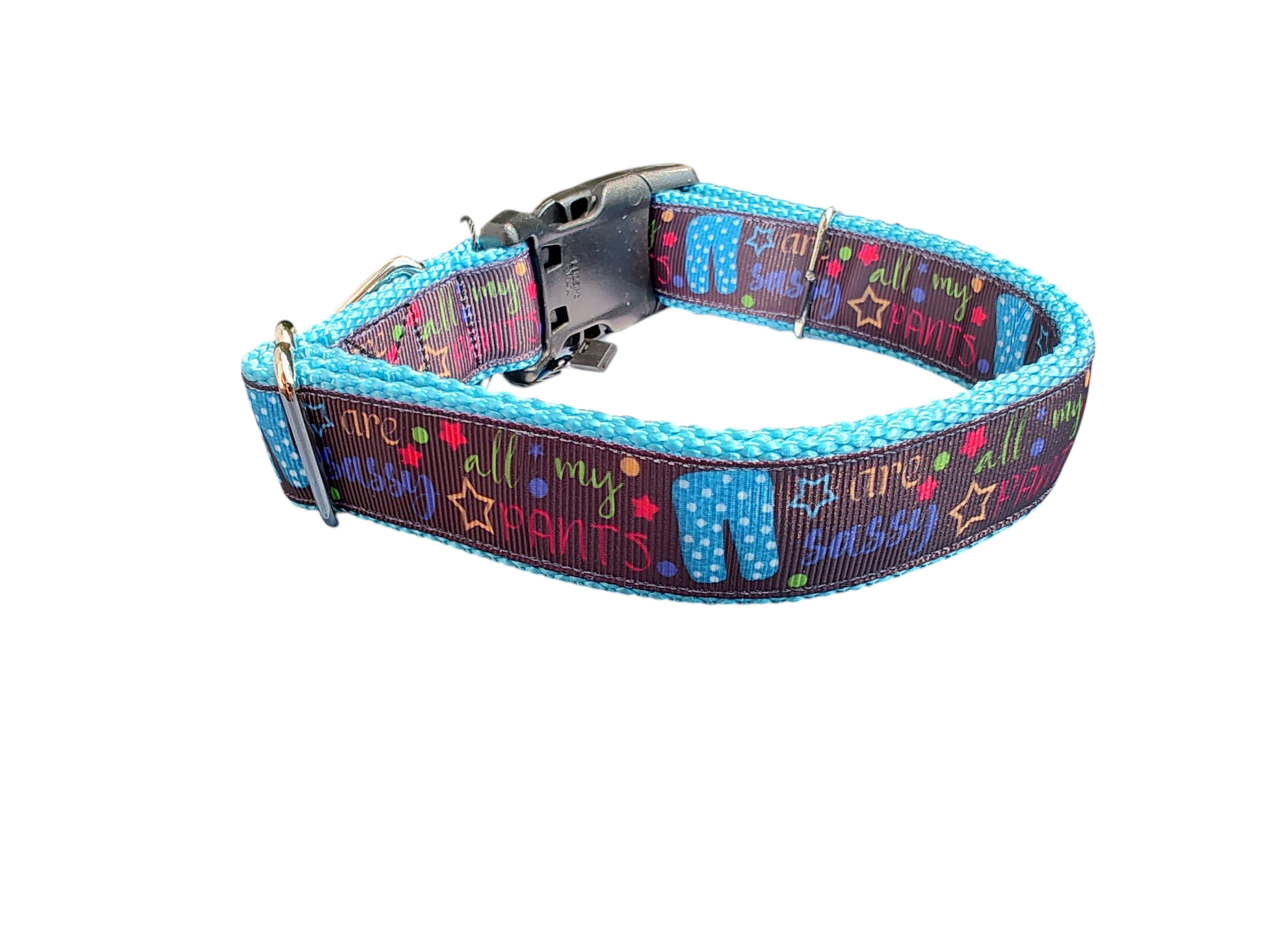 Sassy Pants Nylon Dog Collar - Doot's Pet LLC Collars For A Cause