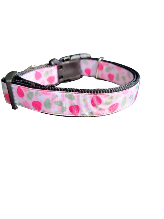 Pink Strawberries Nylon Dog Collar
