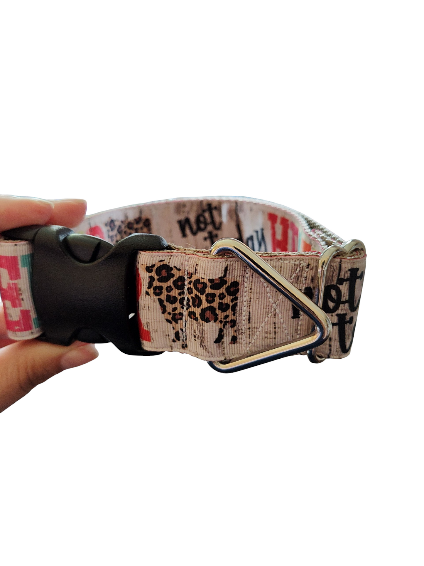 1.5" Wide Not Today Heifer Nylon Dog Collar