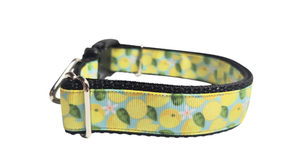 Lemons Nylon Dog Collar