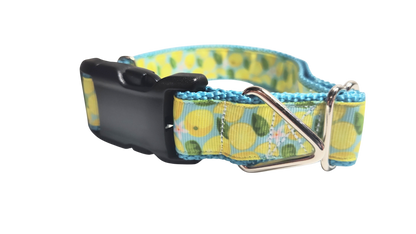 Lemons Nylon Dog Collar