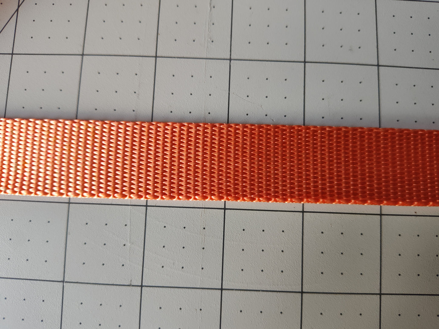 Doot's Basics Nylon Dog Collar/ Leash