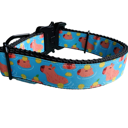Capybara Nylon Dog Collar - Doot's Pet LLC Collars For A Cause