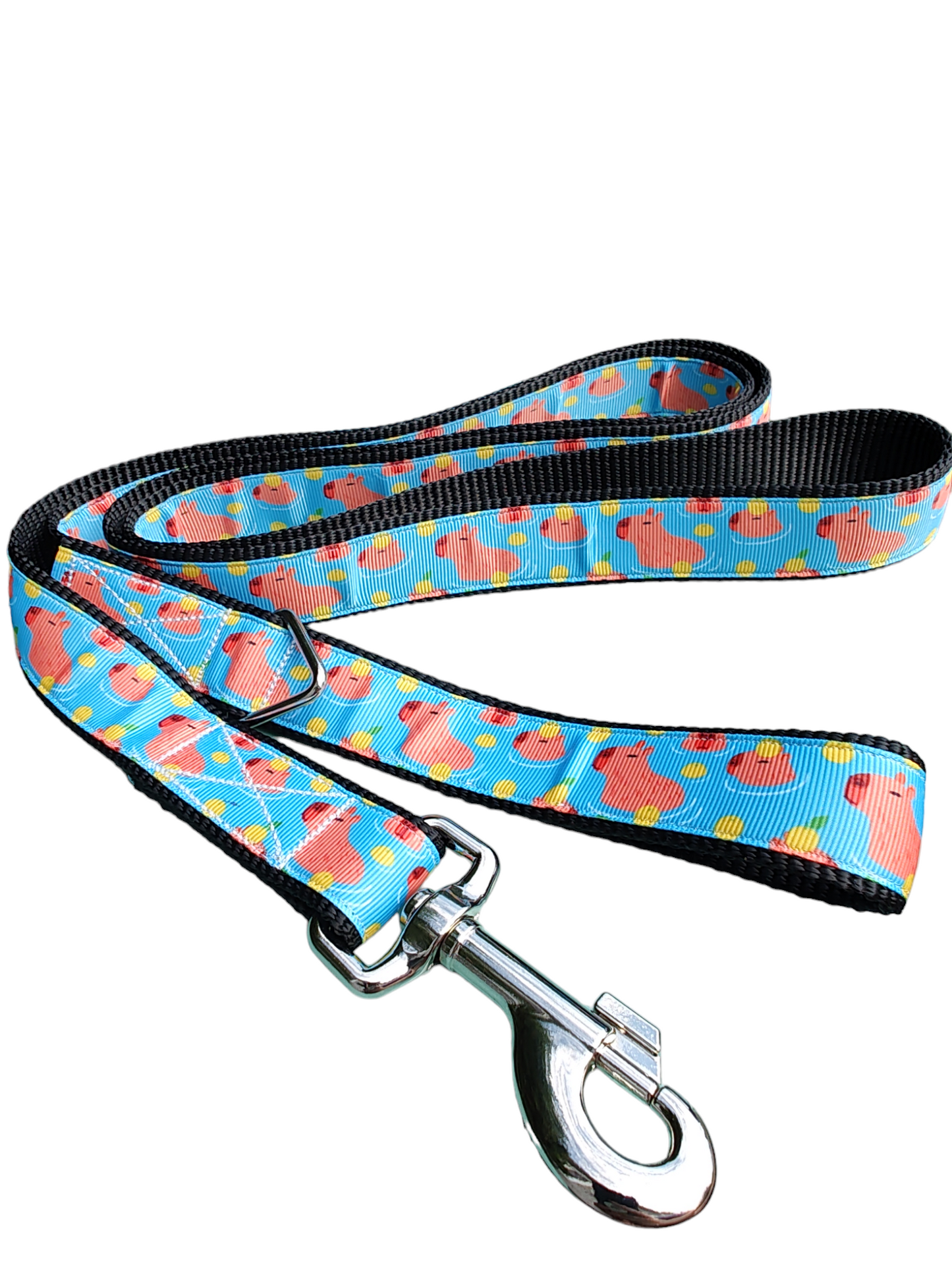 Capybara Nylon Dog Collar