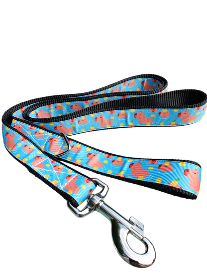 Capybara Nylon Dog Collar - Doot's Pet LLC Collars For A Cause