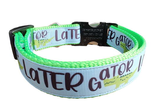 Later Gator Neon Green Nylon Dog Collar MD, LG, XL, Leash, Martingale - Doot's Pet LLC Collars For A Cause