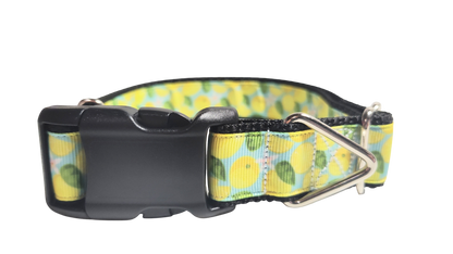 Lemons Nylon Dog Collar