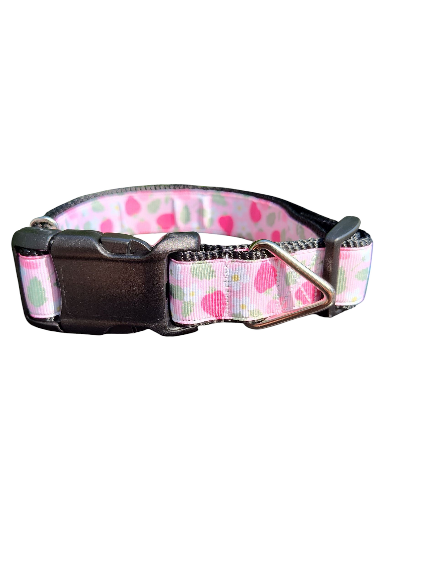 Pink Strawberries Nylon Dog Collar
