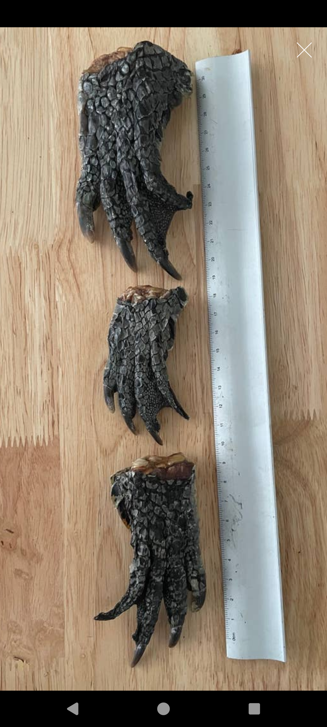 Doot's Chew Bar - Woofing Wonders - Croc Claws- Single