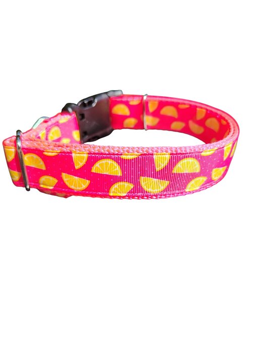 Pink Lemonade Nylon Dog Collar