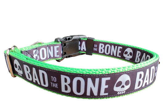 Bad To The Bone Neon Green Nylon Dog Collar MD, LG, XL, Leash - Doot's Pet LLC Collars For A Cause