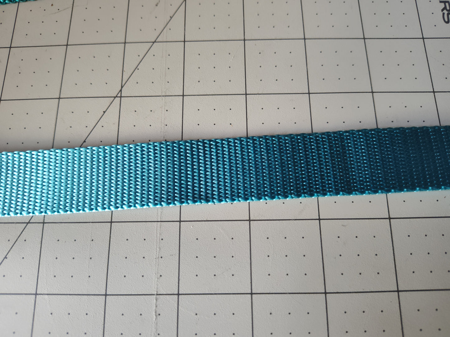 Doot's Basics Nylon Dog Collar/ Leash