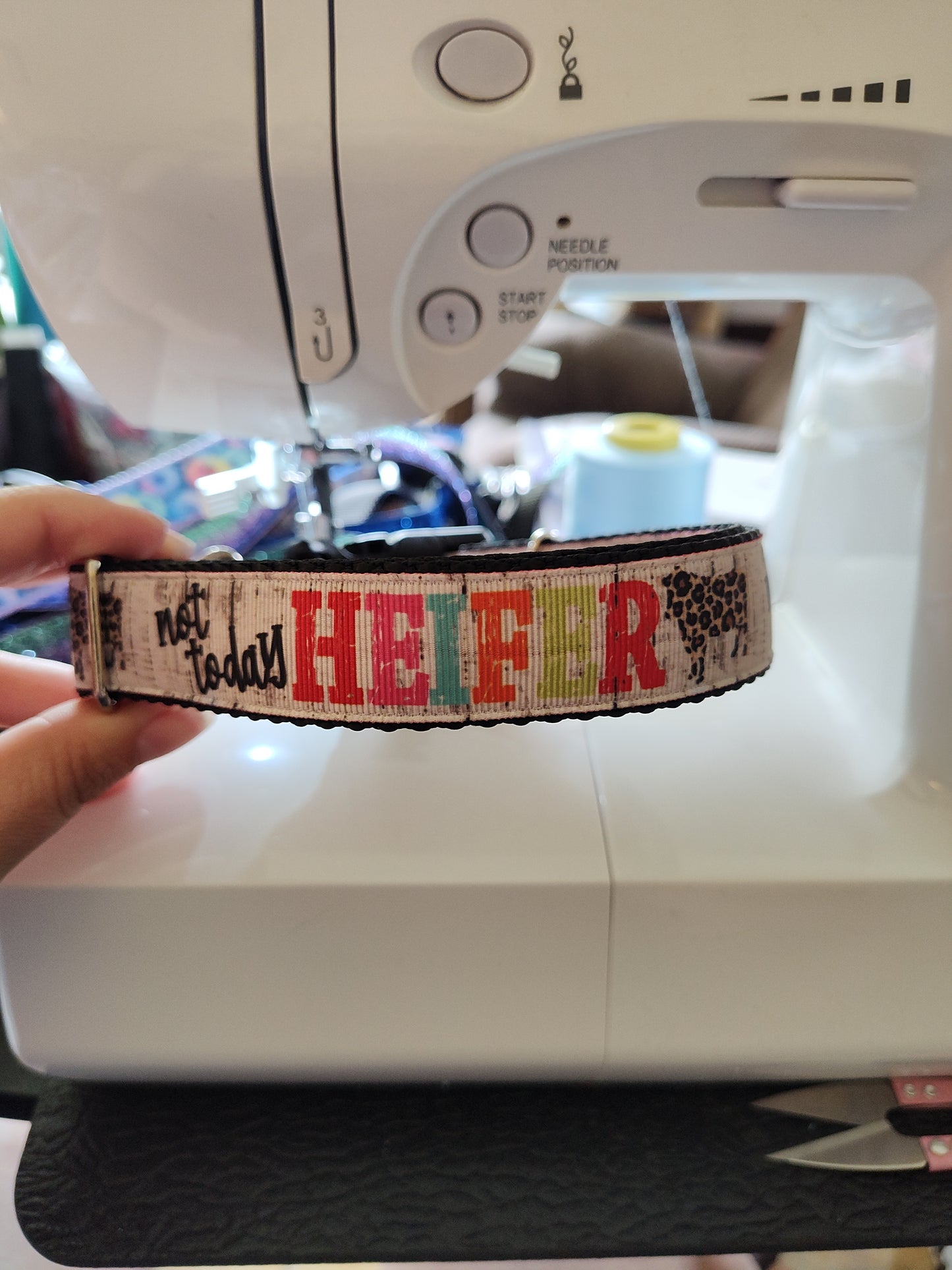 Not Today Heifer Cow Nylon Dog Collar