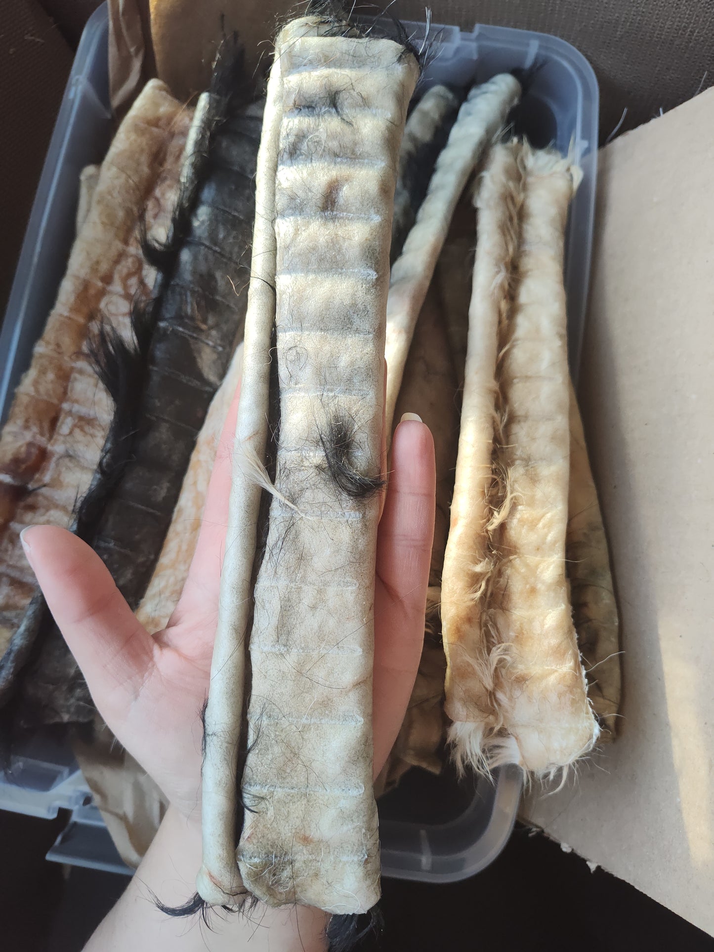 Doot's Chew Bar - Hair on Cowhide Ugly Chews