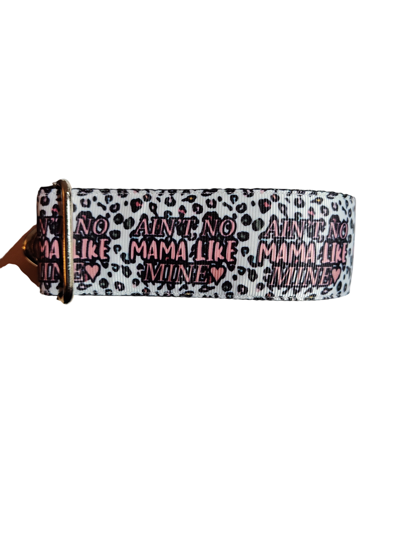 1.5" Wide Ain't No Mama Like Mine Nylon Dog Collar