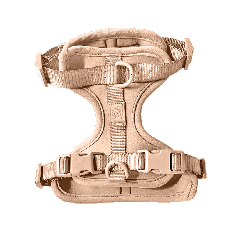 Come Here Buddy Harness