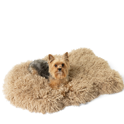 PupRug® Luxe Faux Fur Orthopedic Dog Bed -  Plush Sheep Tan - Doot's Pet LLC Collars For A Cause