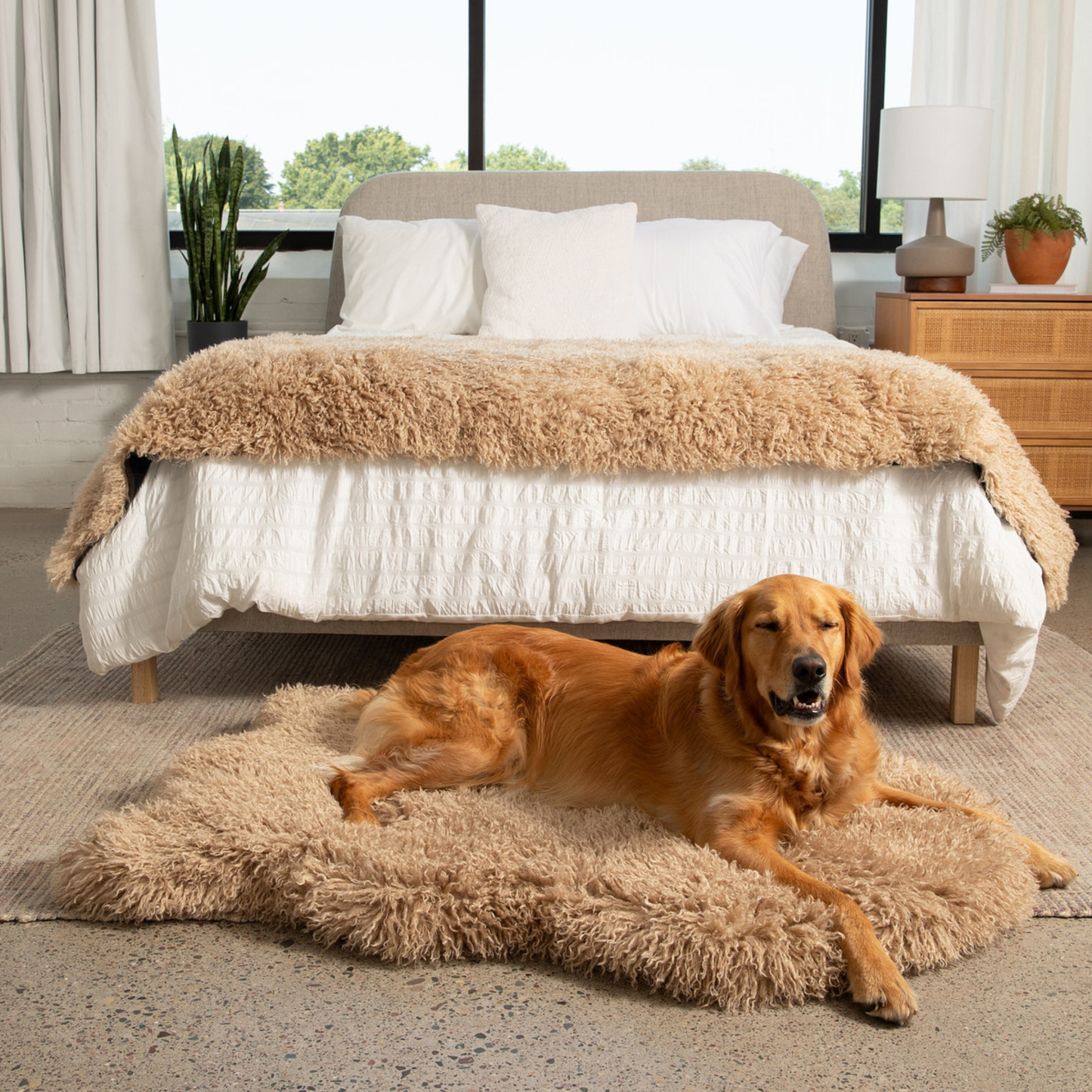 PupRug® Luxe Faux Fur Orthopedic Dog Bed -  Plush Sheep Tan - Doot's Pet LLC Collars For A Cause