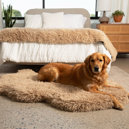 PupRug® Luxe Faux Fur Orthopedic Dog Bed -  Plush Sheep Tan - Doot's Pet LLC Collars For A Cause
