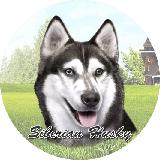 Siberian Husky Car Coaster