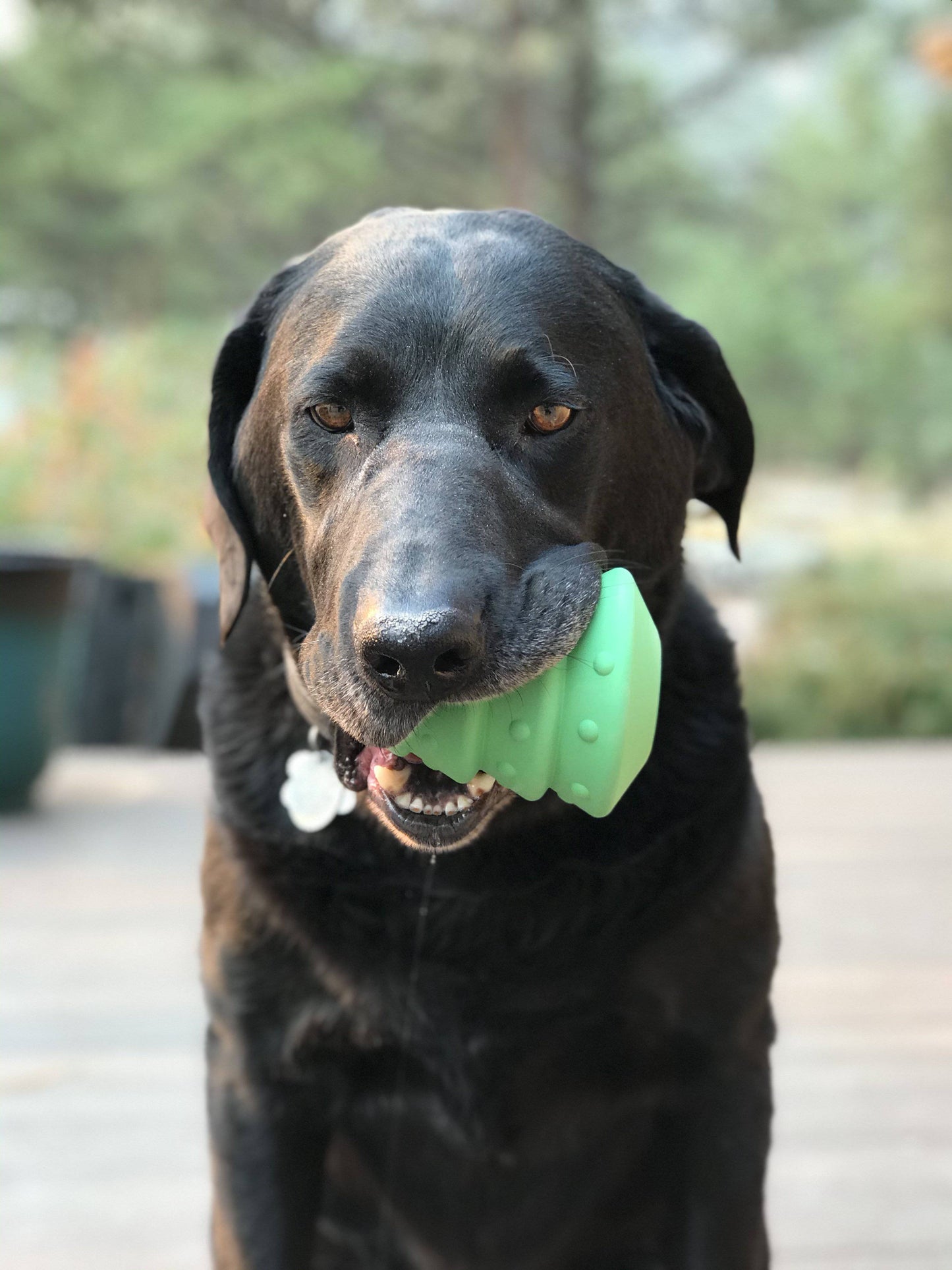 Christmas Tree eDispenser Durable Rubber Chew Toy & Treat Dispenser - Doot's Pet LLC Collars For A Cause