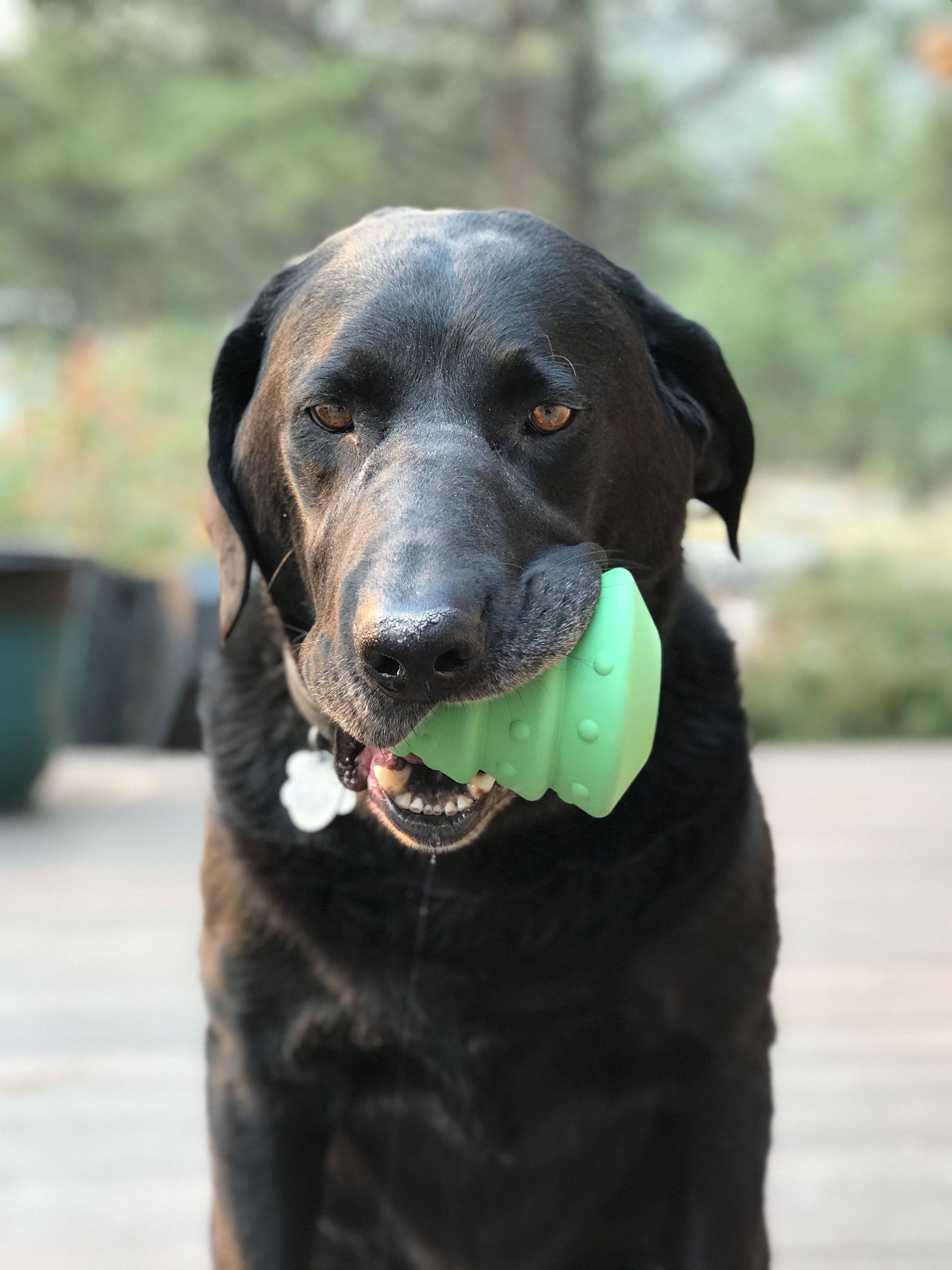 Christmas Tree eDispenser Durable Rubber Chew Toy & Treat Dispenser - Doot's Pet LLC Collars For A Cause