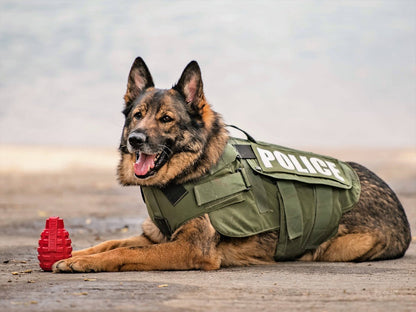 Grenade Shaped eDispenser Durable Dog Chew Toy & Treat Dispenser - Army Green - Doot's Pet LLC Collars For A Cause